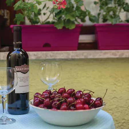 Apartment Lovely In With Kitchen Crikvenica